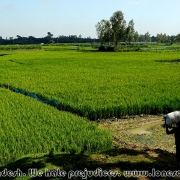 Godaibari Dhap_2